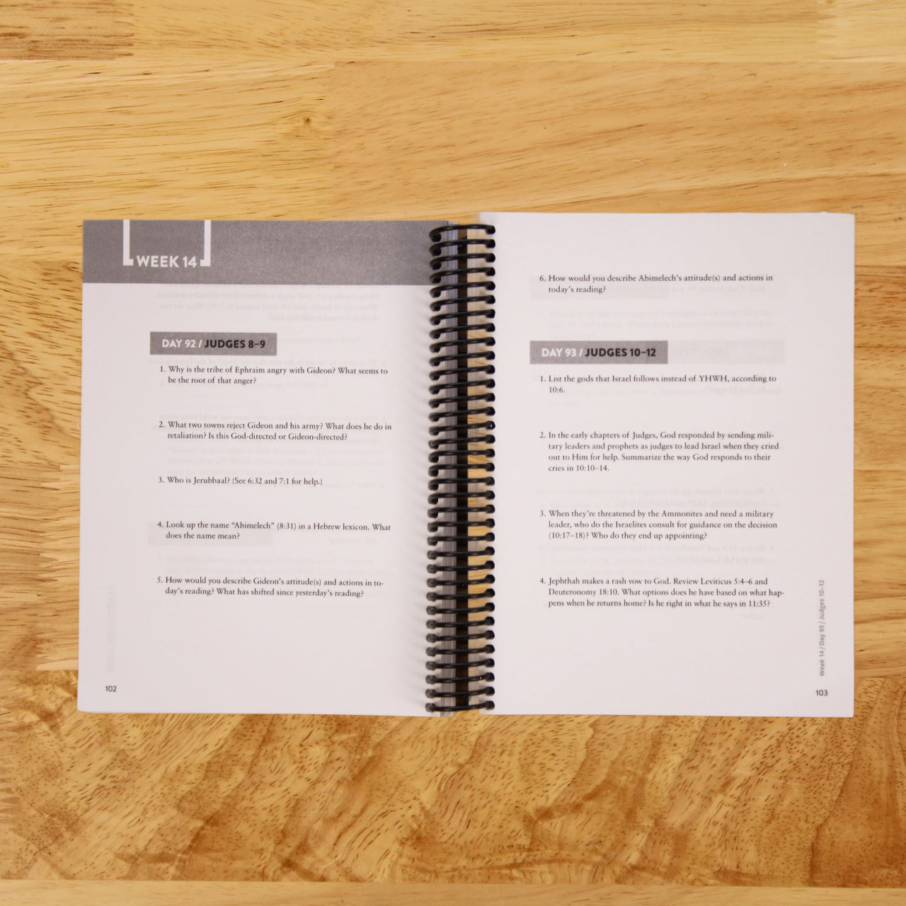 The Bible Recap Study Guide: Daily Questions to Deepen Your Understanding of the Entire Bible-The Exam Guide
